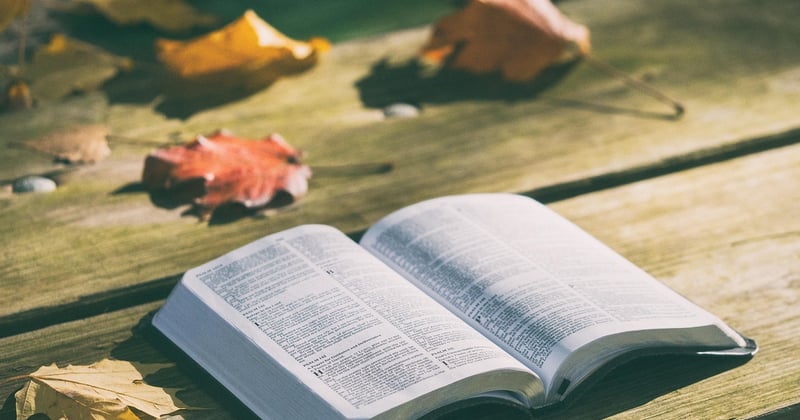 Comment choisir une Bible adaptée à son étude personnelle