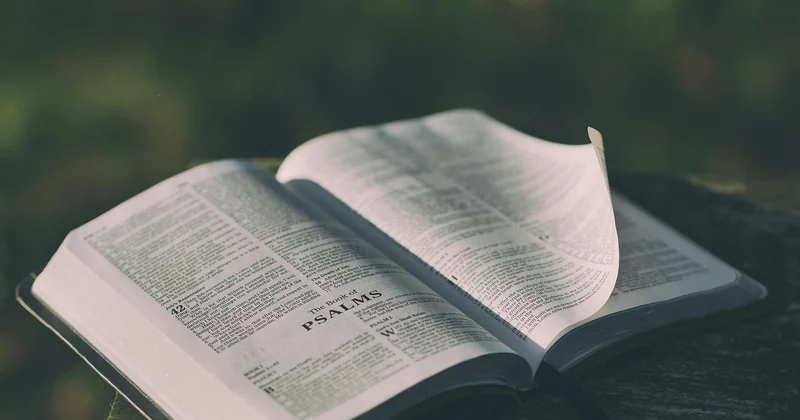 Plateformes de lecture avec notes et annotations